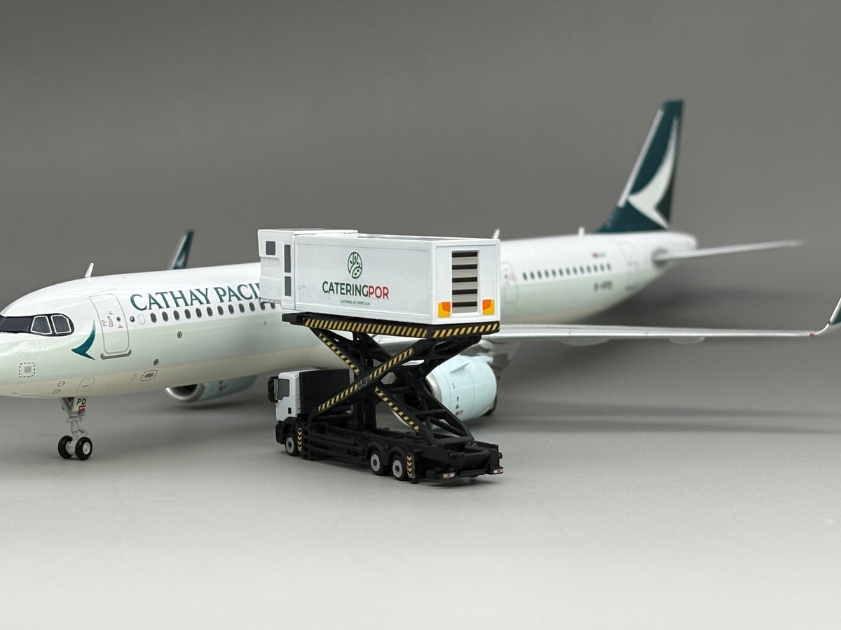 Scale 1:400/200 Airport POR Catering truck printed Finished 3D Model car