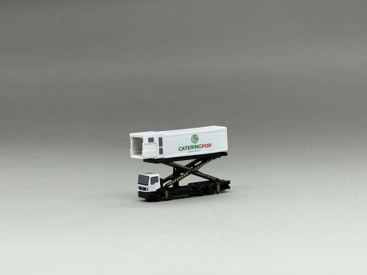 Scale 1:400/200 Airport POR Catering truck printed Finished 3D Model car
